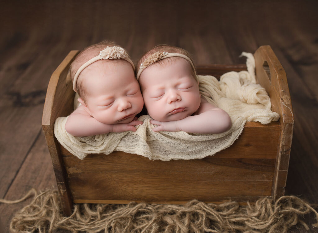 twin newborn girls woodland theme Atlanta